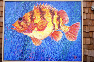 tigerrockfish.jpg